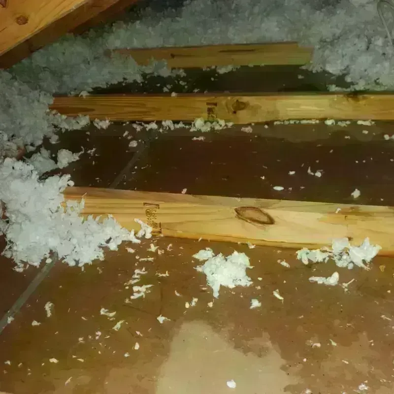 Attic Water Damage in Van Buren County, IA