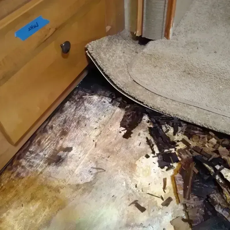 Best Wood Floor Water Damage Service in Van Buren County, IA